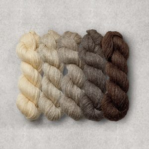 British Wool Ombre 4 Ply